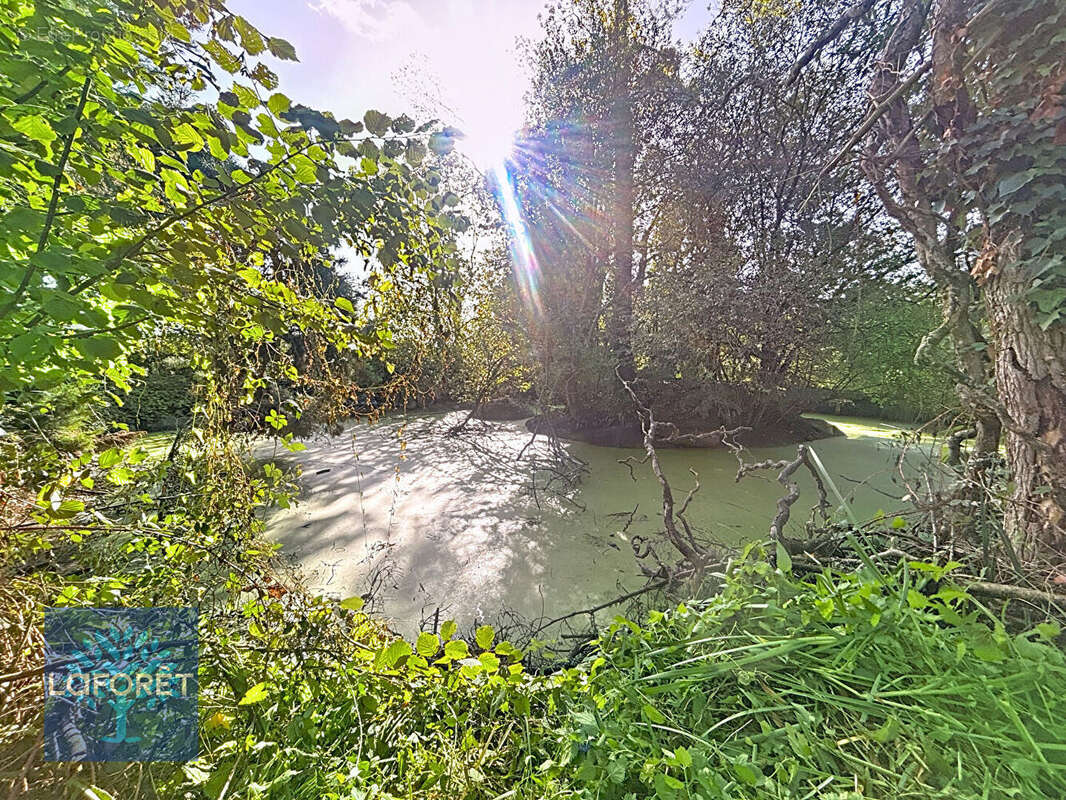 Maison à SAINT-MARC-LE-BLANC