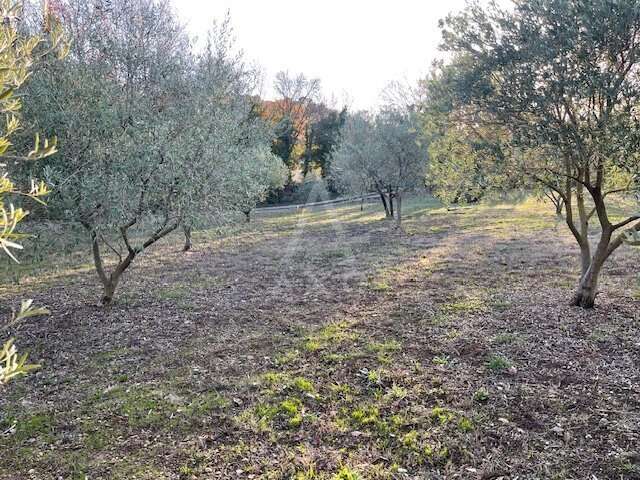 Terrain à CLERMONT-L'HERAULT