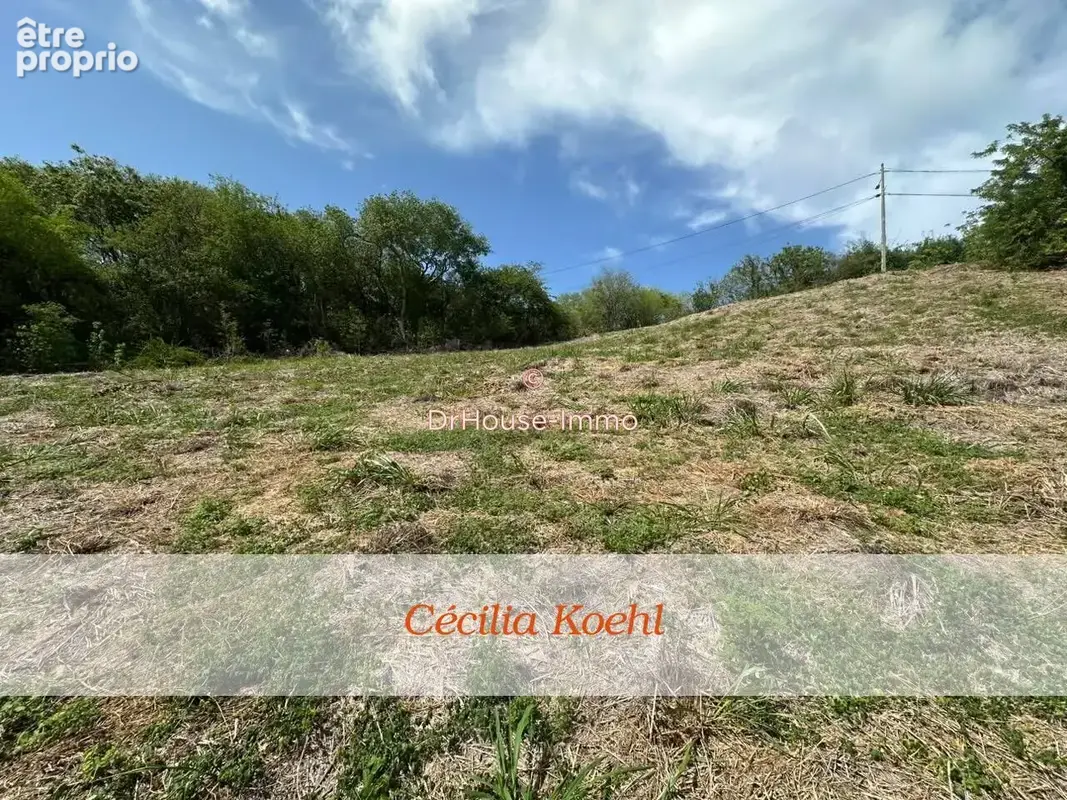 Terrain 3 699 m² à vendre à Le Robert (97231) - photo 6