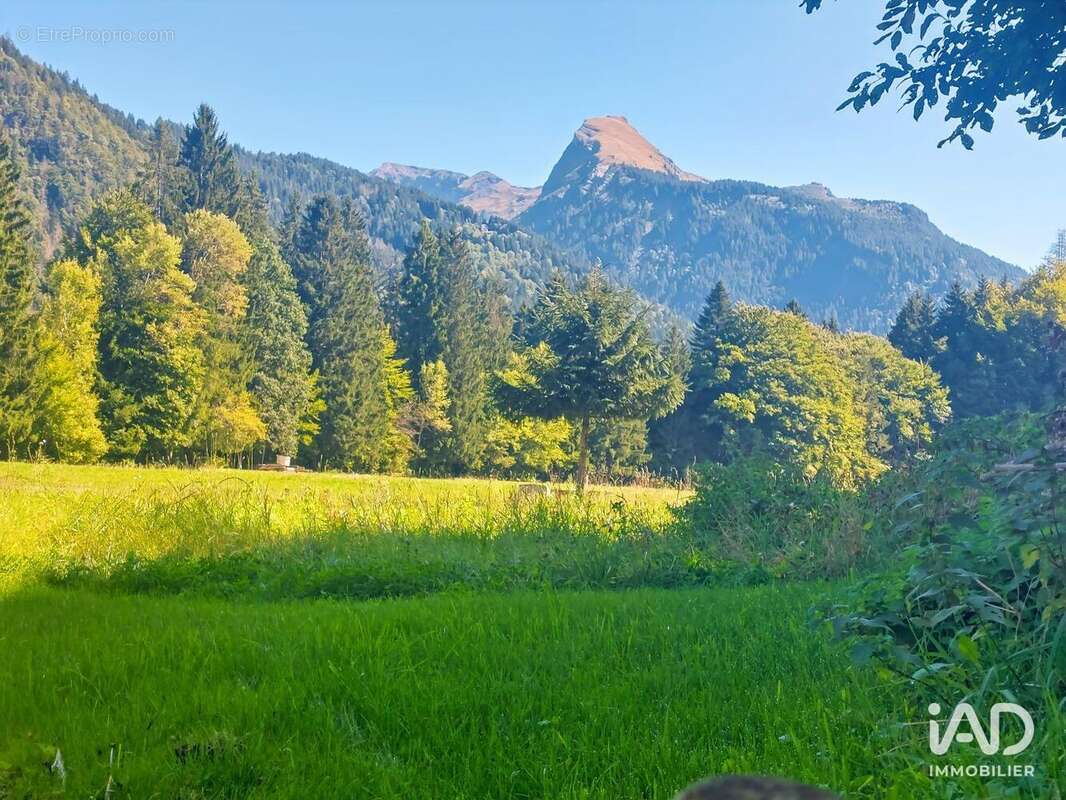 Photo 5 - Maison à MONTRIOND