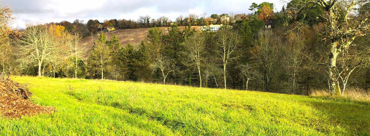 Terrain à COURSAC