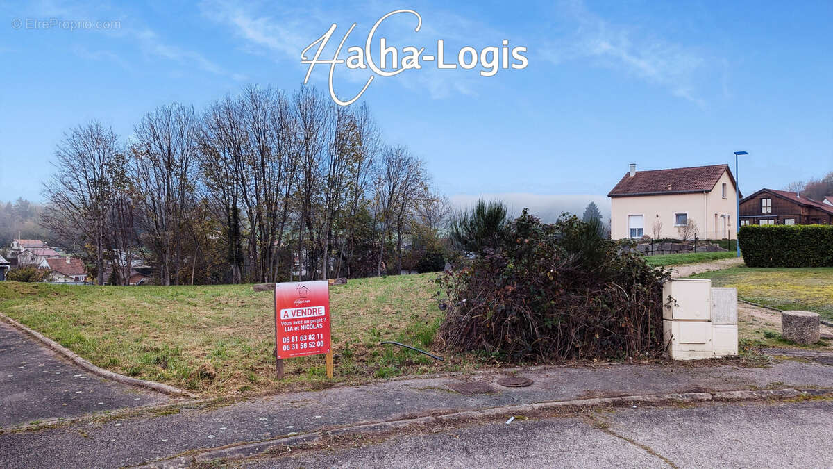 Terrain à FRAIZE