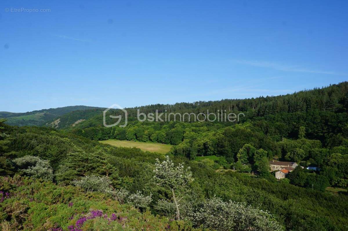Propriété de caractère nichée au coeur de la Montagne Noire- Parc Naturel du Haut-Languedoc - photo 23