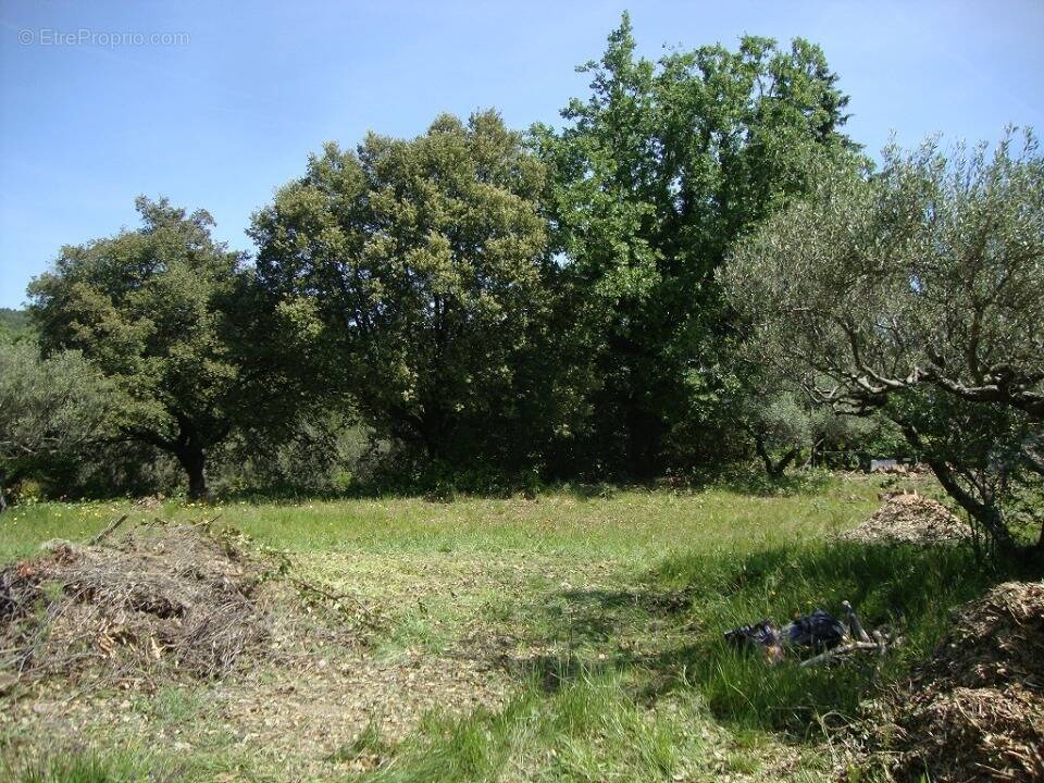 Terrain à LA SEYNE-SUR-MER