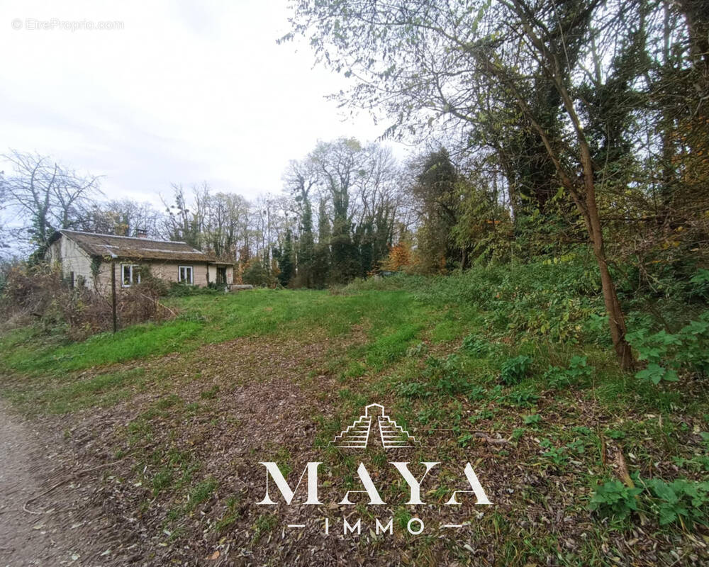 Terrain à STEINBRUNN-LE-BAS