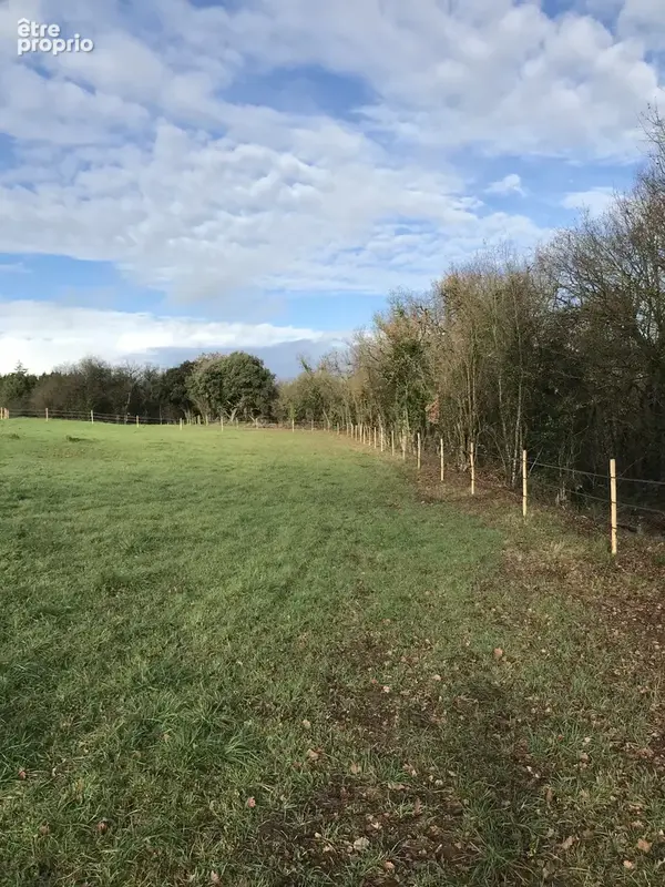 Maison 217 m² à Chateauneuf-Sur-Charente  - photo 18