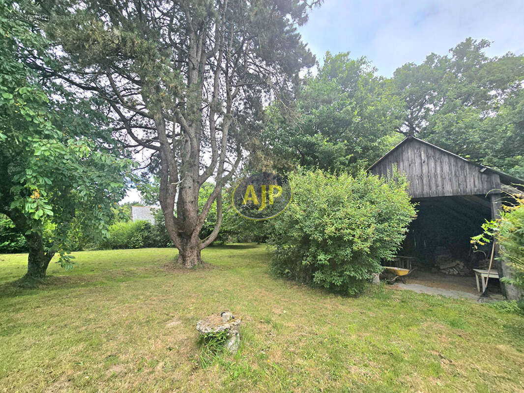 Maison Guémené-Penfao poss 2 habitations... + 1491 m² Terrain - photo 12