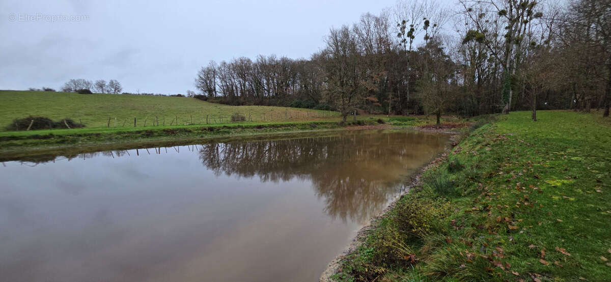 Terrain à TOURNON-SAINT-PIERRE