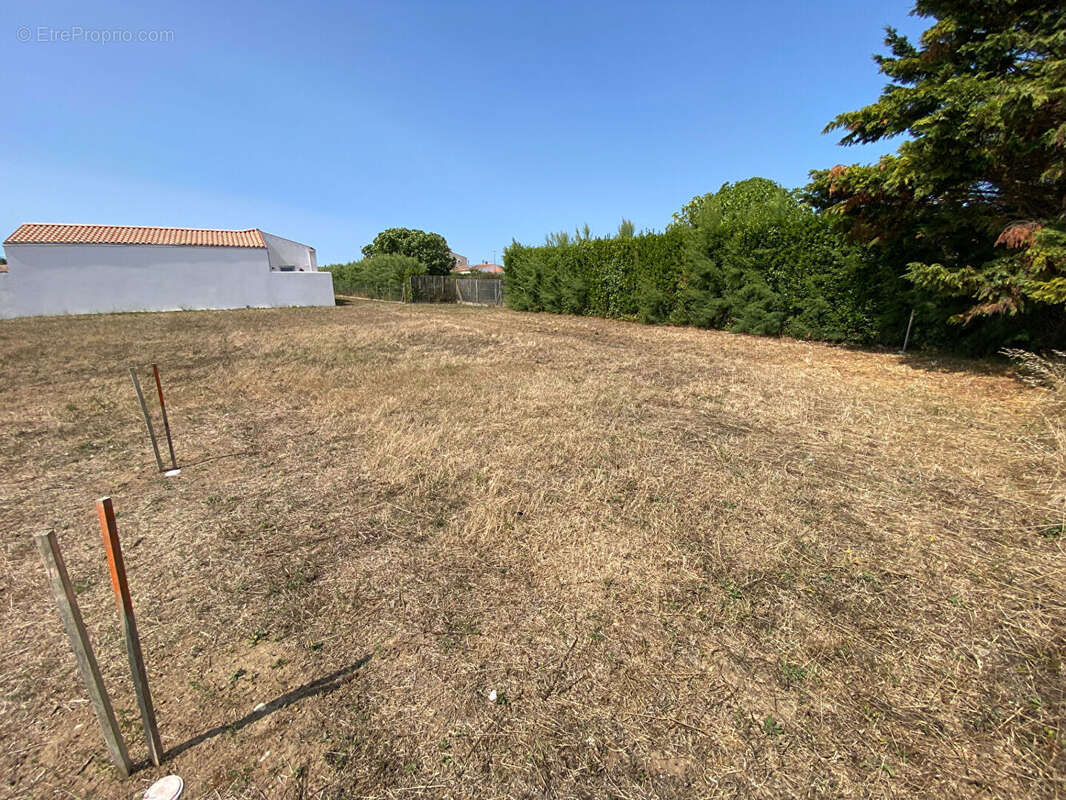 SAINT DENIS - Terrain à bâtir - 799 m² - photo 2