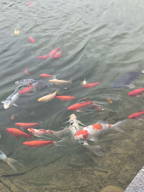 Maison à FONTAINE-NOTRE-DAME