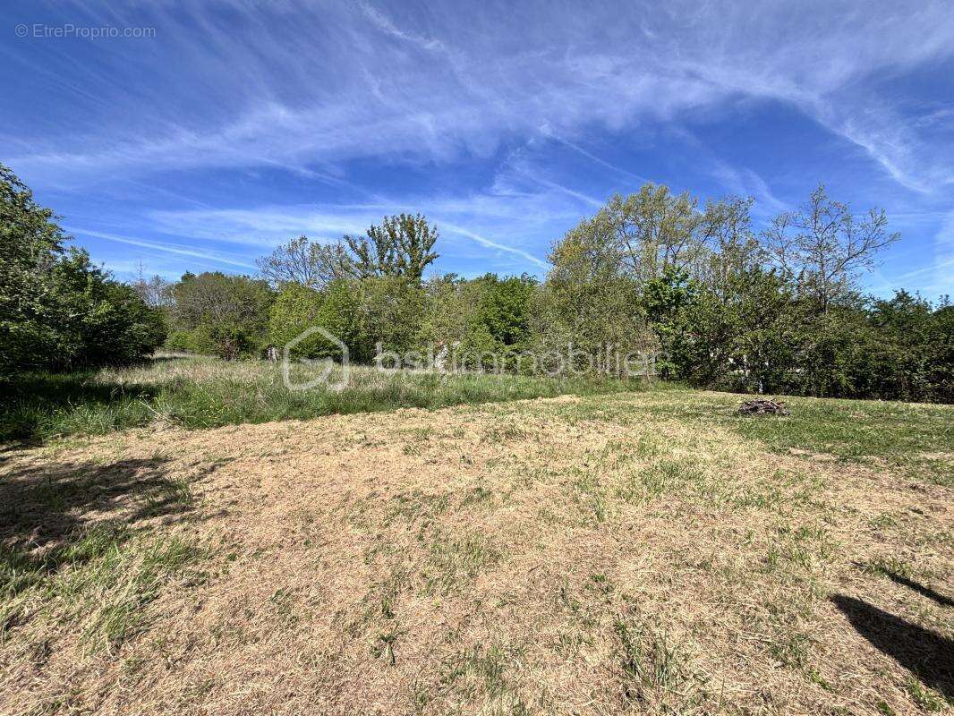 Terrain à RABASTENS