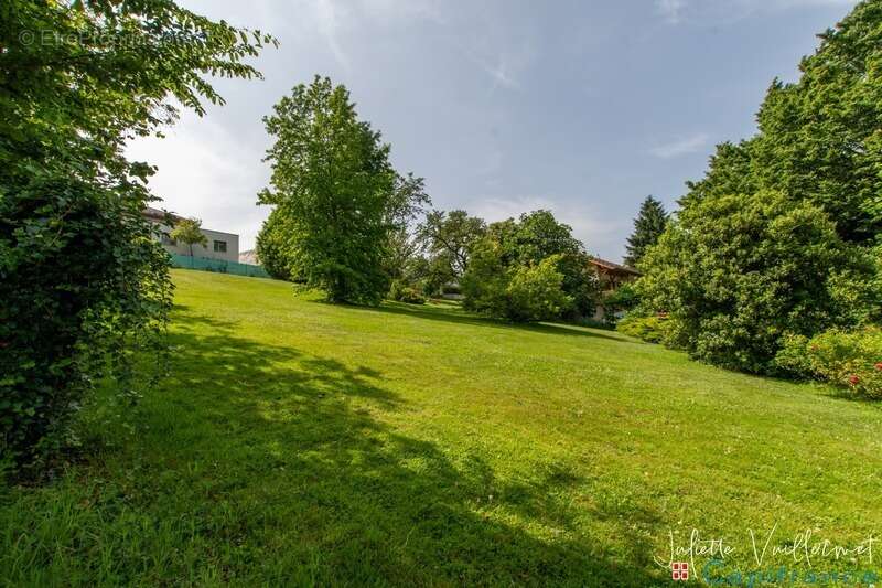 LA MOTTE SERVOLEX (73290) : Terrain de 1180 m², non viabilisé - photo 6