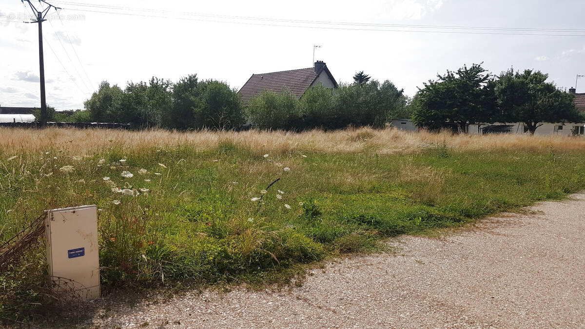 Terrain à L'ABERGEMENT-SAINTE-COLOMBE