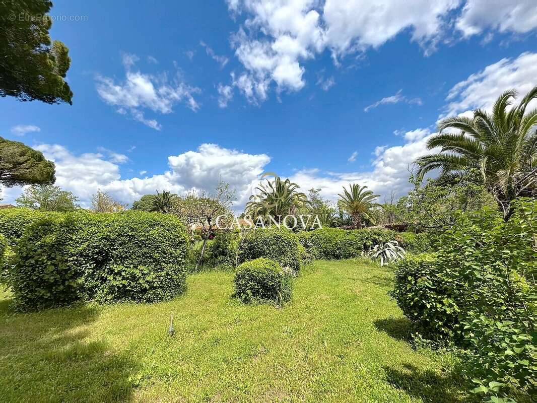 Aux portes de PEZENAS, maison de caractère sur un superbe terrain CONSTRUCTIBLE et DIVISIBLE de 3300 m². A 25 mn du bord de MER, - photo 12