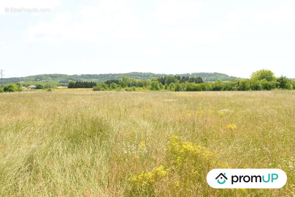 Terrain à SAINTE-LIVRADE-SUR-LOT