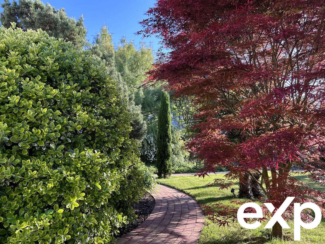 Maison à LA WANTZENAU