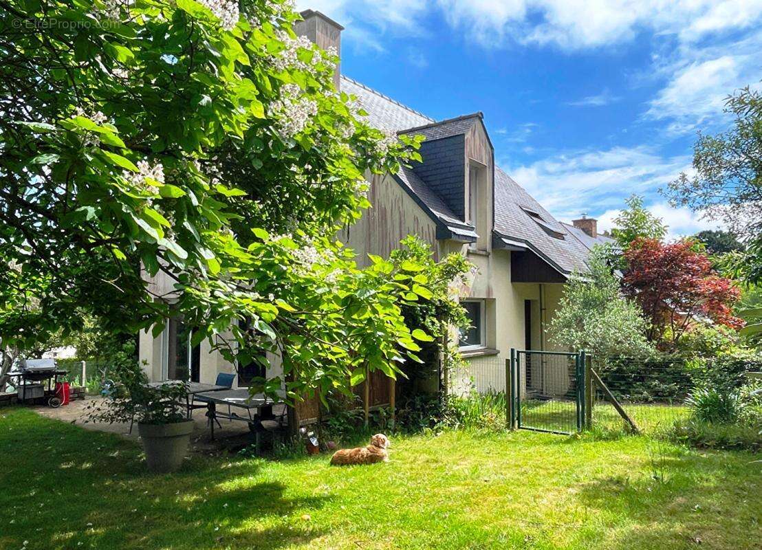 Maison à MONTFORT-SUR-MEU