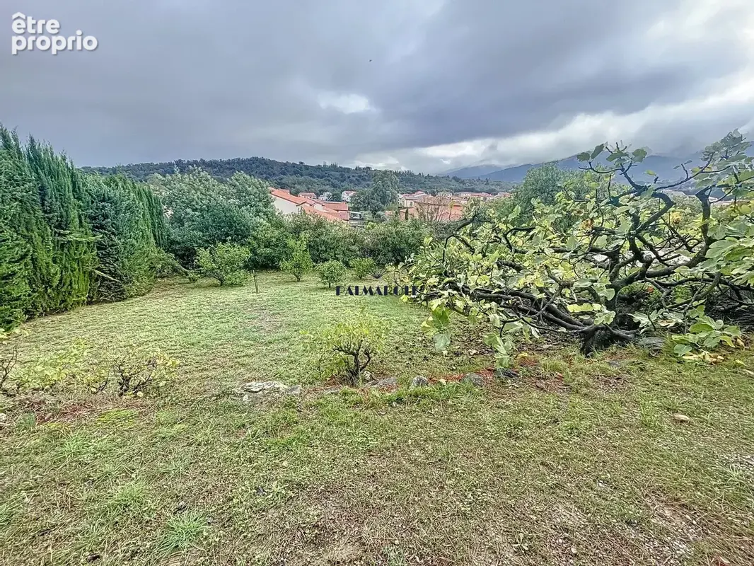 Terrain à MONTESQUIEU-DES-ALBERES