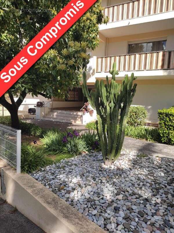   - Appartement à ANTIBES