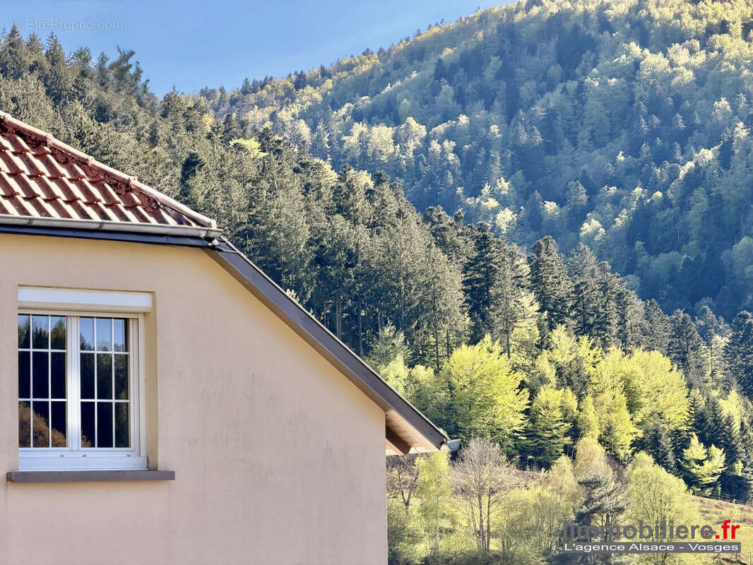 Maison à NATZWILLER