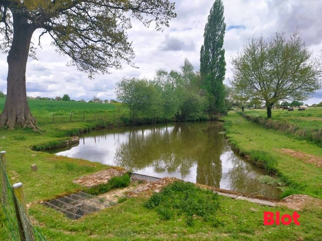 Terrain à CHATEAUBOURG
