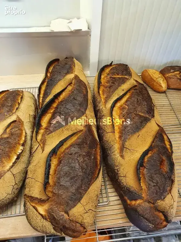 Boulangerie-pâtisserie avec laboratoire - photo 4
