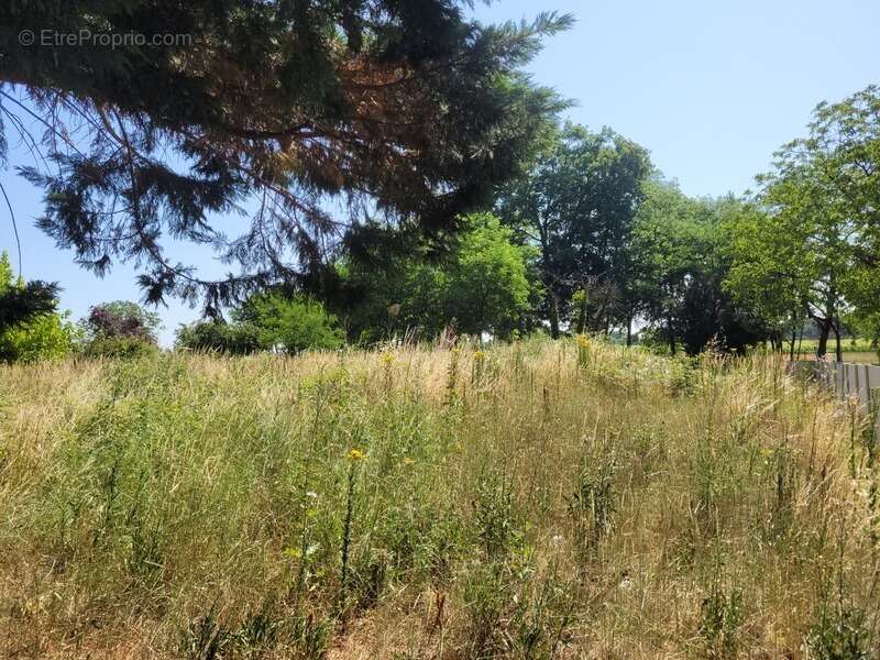 Terrain à CISSAC-MEDOC