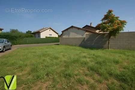 Terrain - 250m ² - photo 6