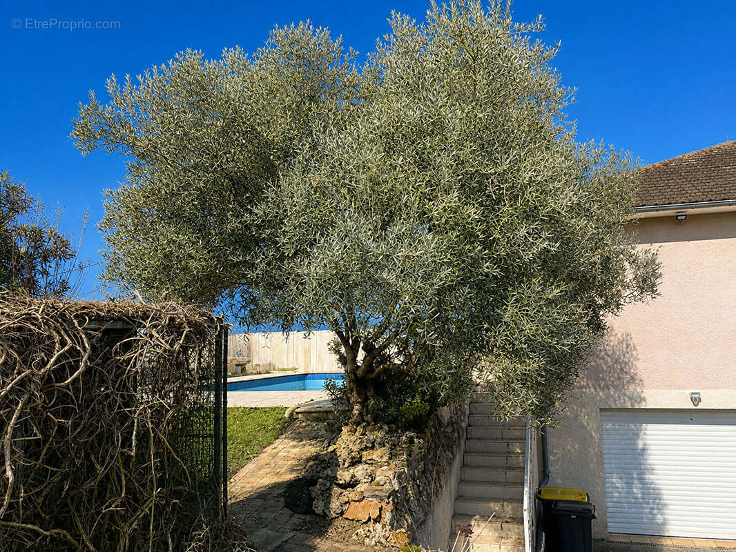 Maison à SAINT-PARDOUX-ISAAC
