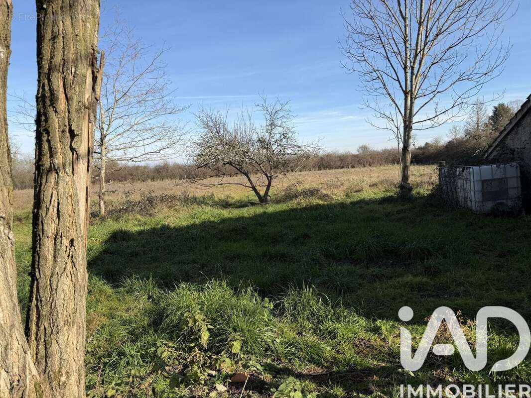 Photo 7 - Maison à GANNAY-SUR-LOIRE