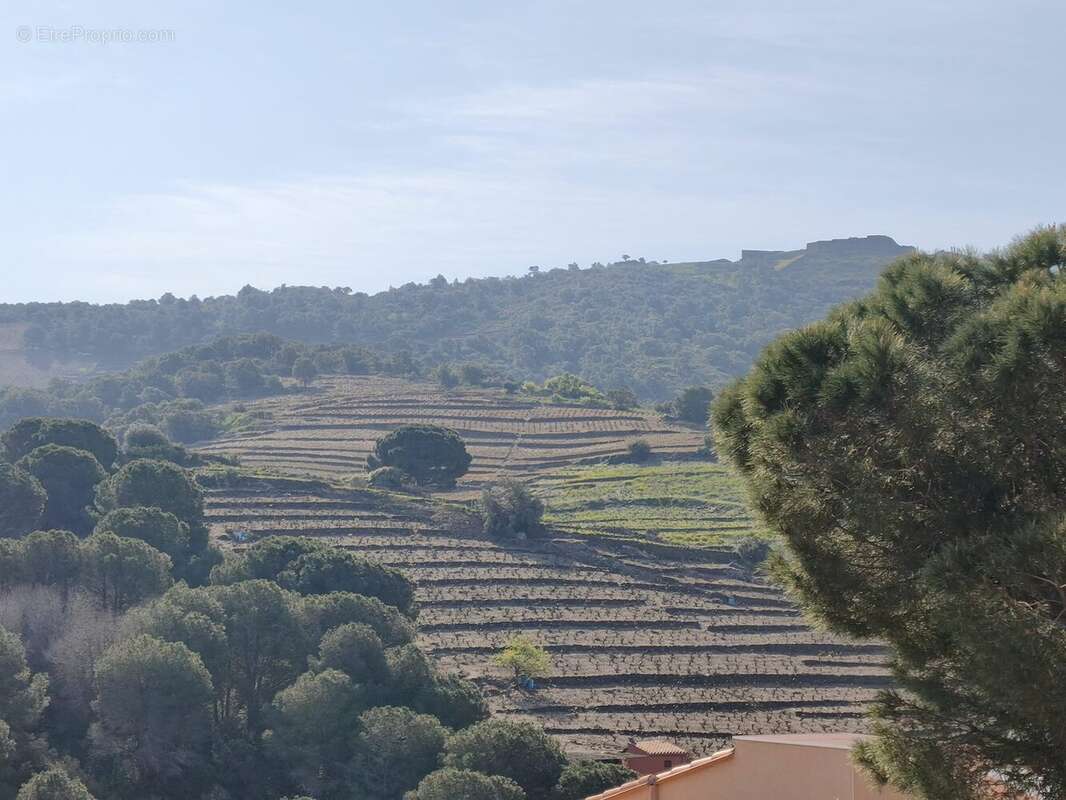 Maison à COLLIOURE