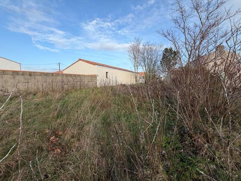 Terrain à LA BARRE-DE-MONTS