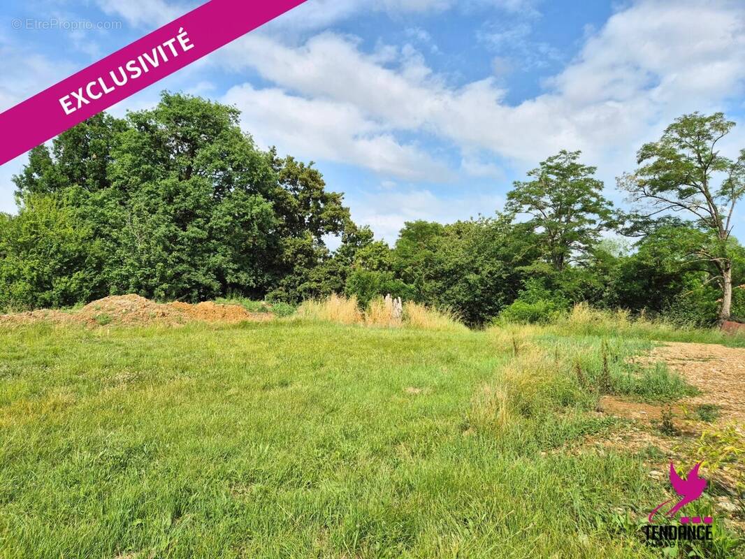 Terrain à MONDONVILLE
