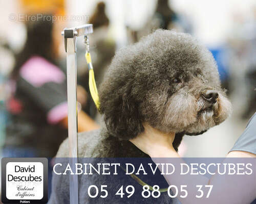 Commerce à POITIERS