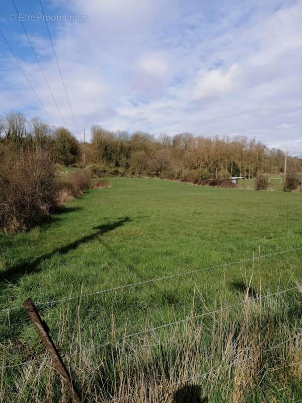 Terrain à NEUVILLETTE
