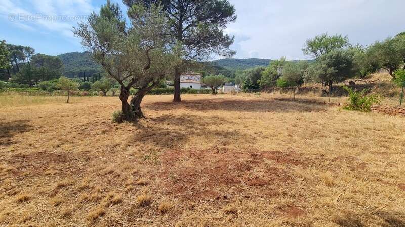 Terrain à vendre  CUERS (83) - photo 6