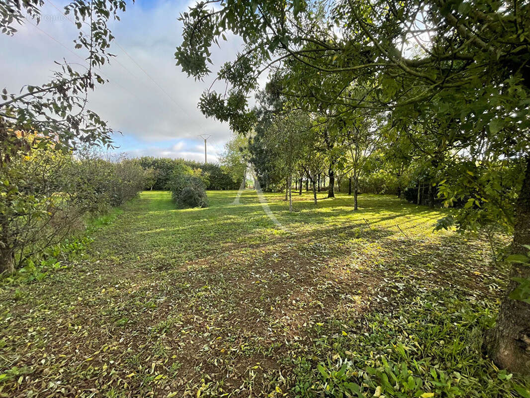 Maison à FONTENAY-LE-COMTE