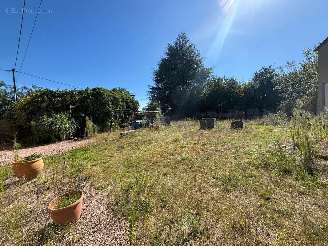 Photo 3 - Commerce à DROITURIER