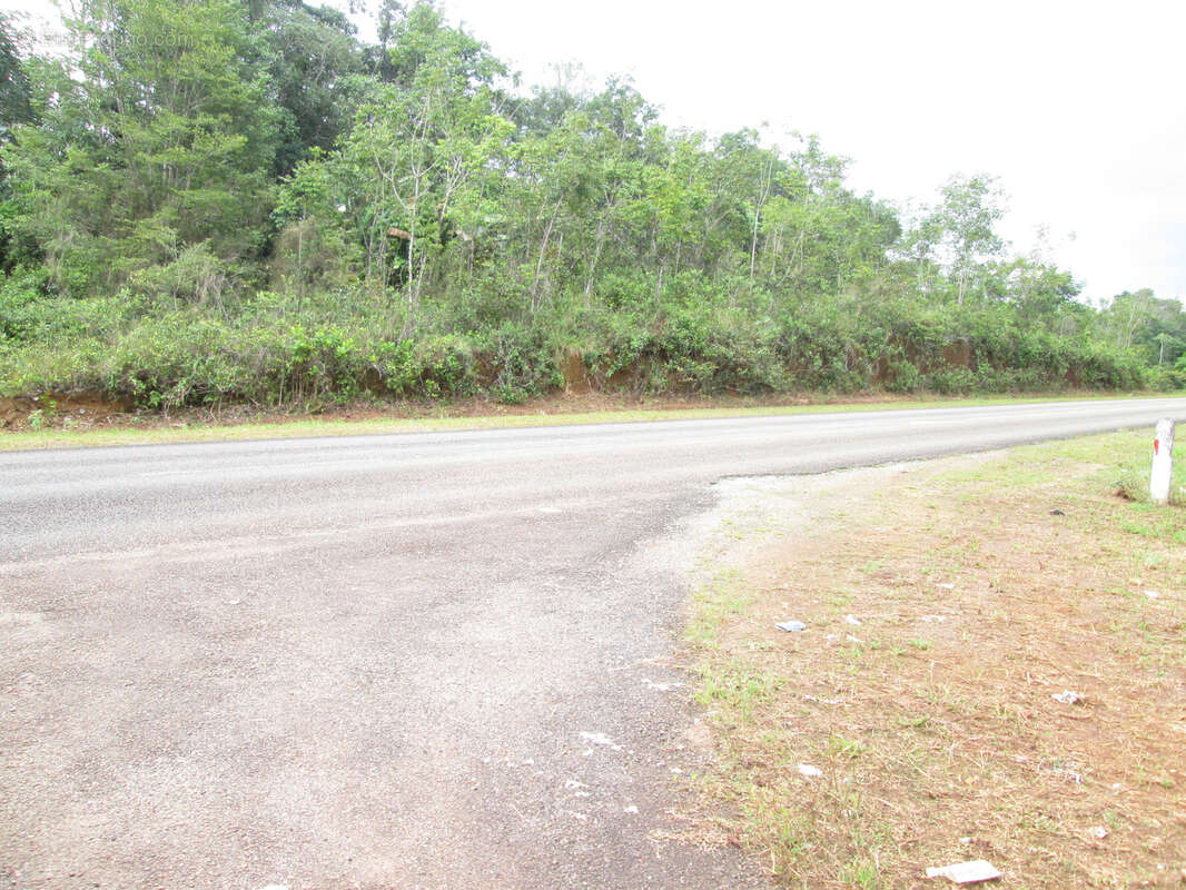 Terrain à SAINT-GEORGES