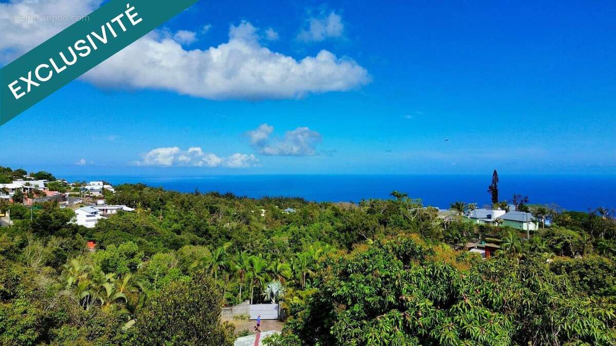 Photo 4 - Maison à SAINT-DENIS