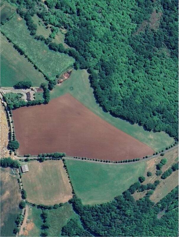 Photo 1 - Terrain à CASTELNAU-DE-MANDAILLES