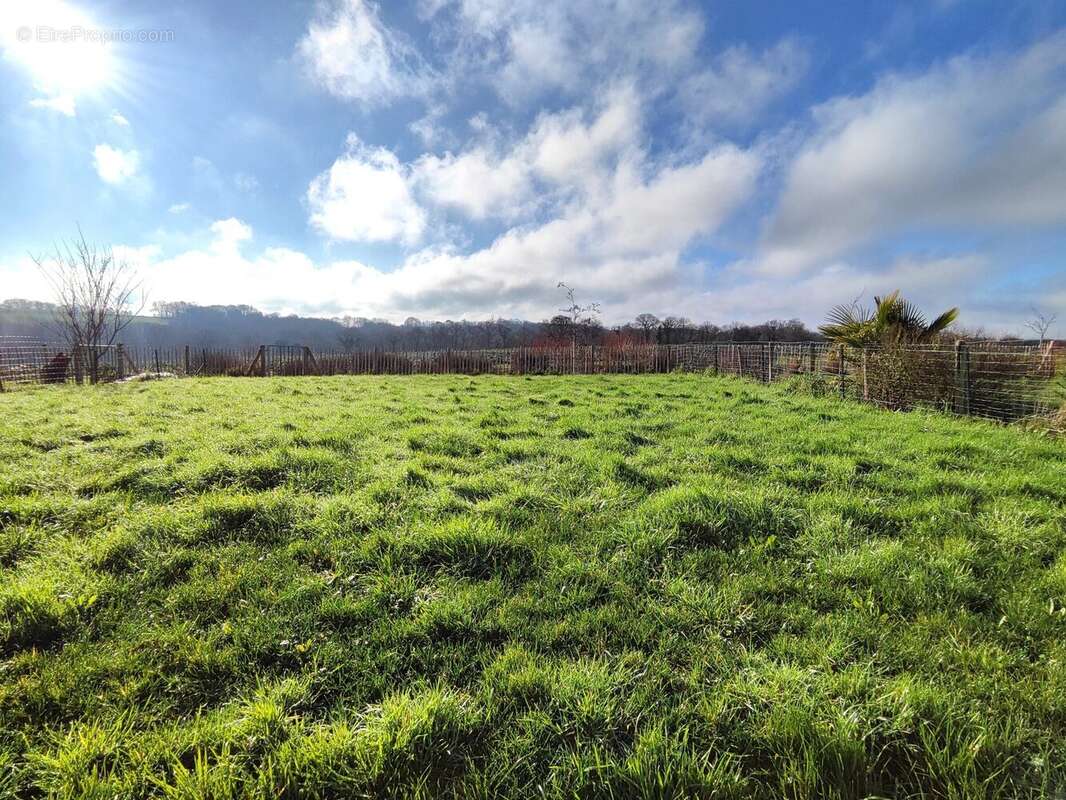 Maison à LANGROLAY-SUR-RANCE