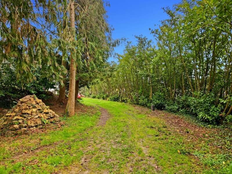 Au cœur de la nature, propriété d’exception 13 hectares avec étang privé, maison chaleureuse de 133 m², 3 chambres, cheminée et  - photo 3