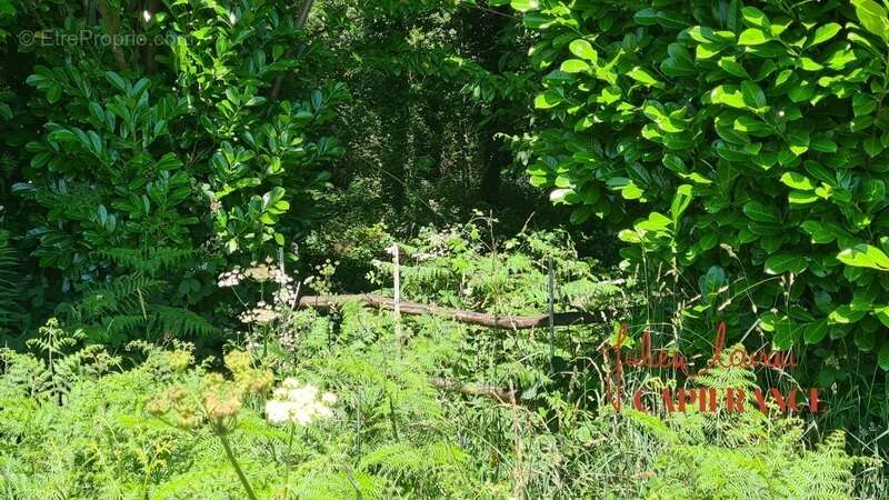 Terrain à vendre  SCAER (29) - Environ 4,5 Ha - photo 2