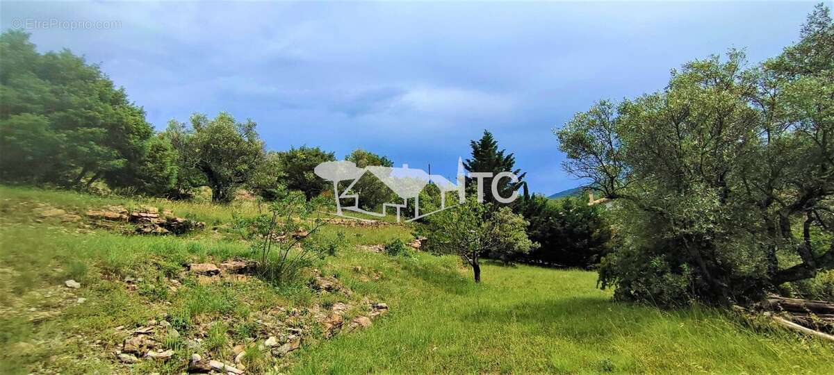 Maison à SAINT-PAUL-LE-JEUNE