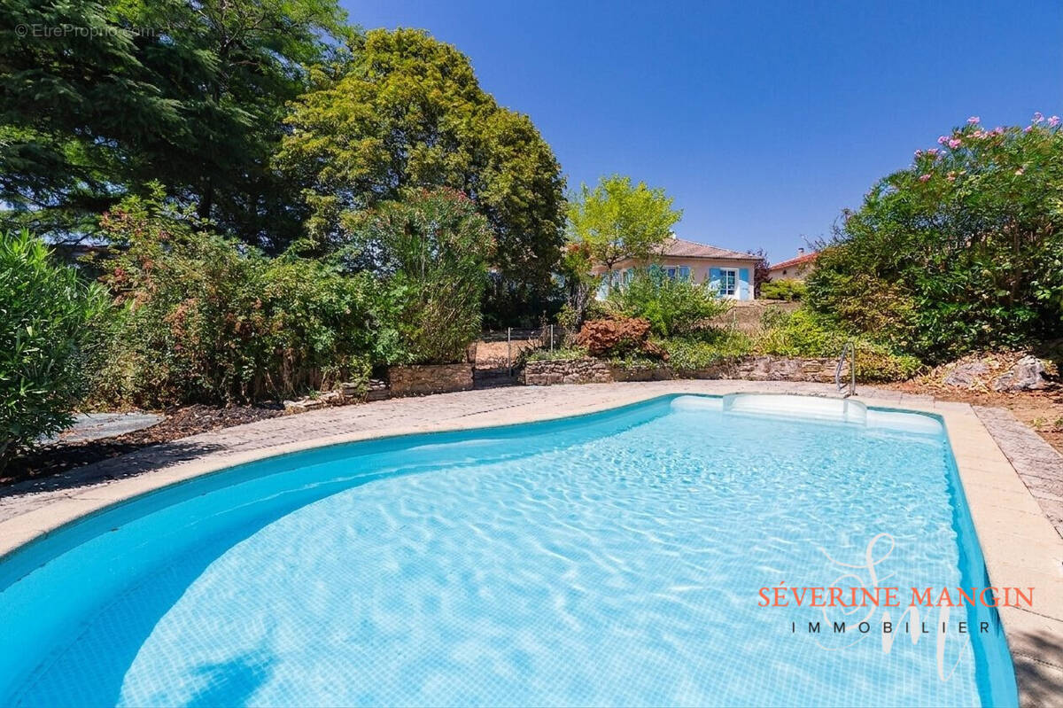 Maison 225 m² à Genissieux  - photo 2