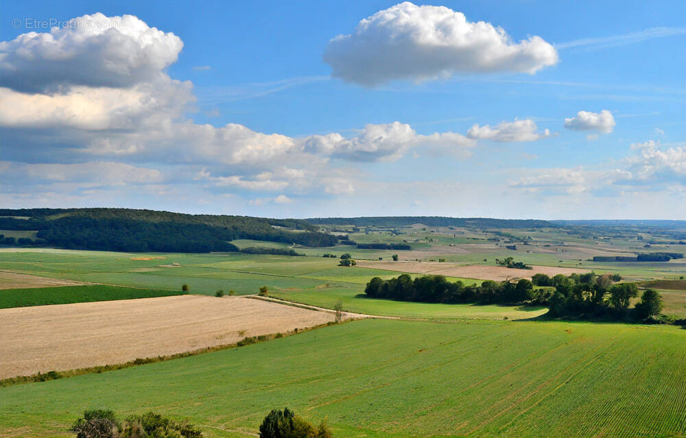 Terrain à BETON-BAZOCHES