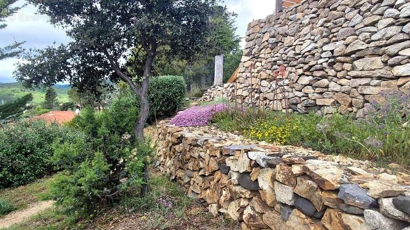 Terrain constructible avec dépendance SOURNIA (66) - photo 14