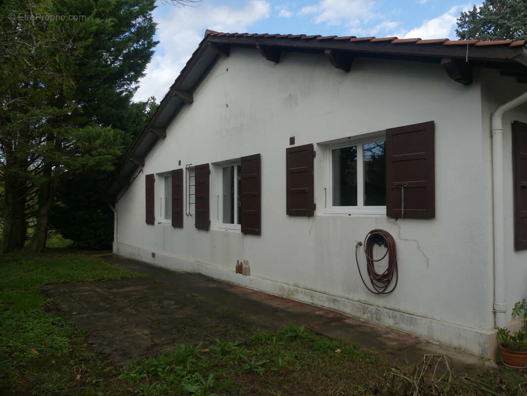 Maison à ROMANECHE-THORINS