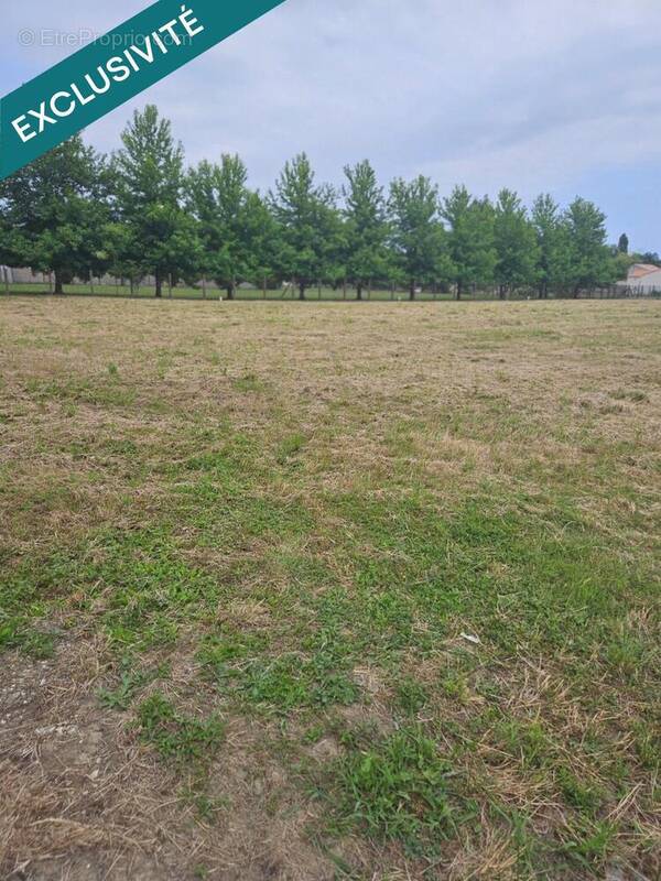 Photo 1 - Terrain à BRIZAMBOURG